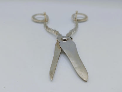 Silver grape scissors, J.M. van Kempen en Zn, Voorschoten, 1888