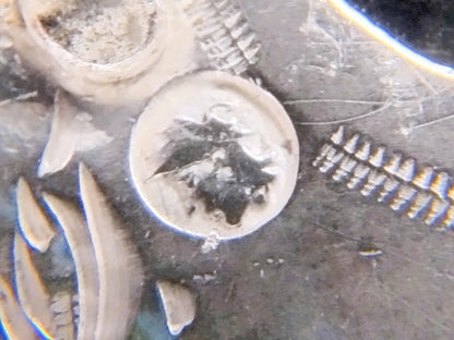 18e Eeuwse Bijbel met zilveren slot, Den Haag, 1791 / 1900