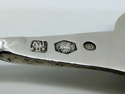 Zilveren natfruitlepel, A.J. Driesen, Utrecht, 1919