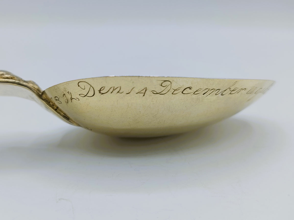 Vergulde zilveren geboortelepel, Wed. J. Fennema, Leeuwarden, 1852
