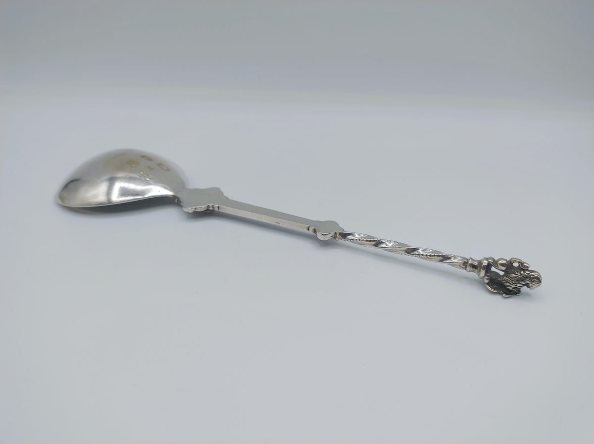 Zilveren sierlepel met ovale lepel en gedetailleerde ornamenten op de steel