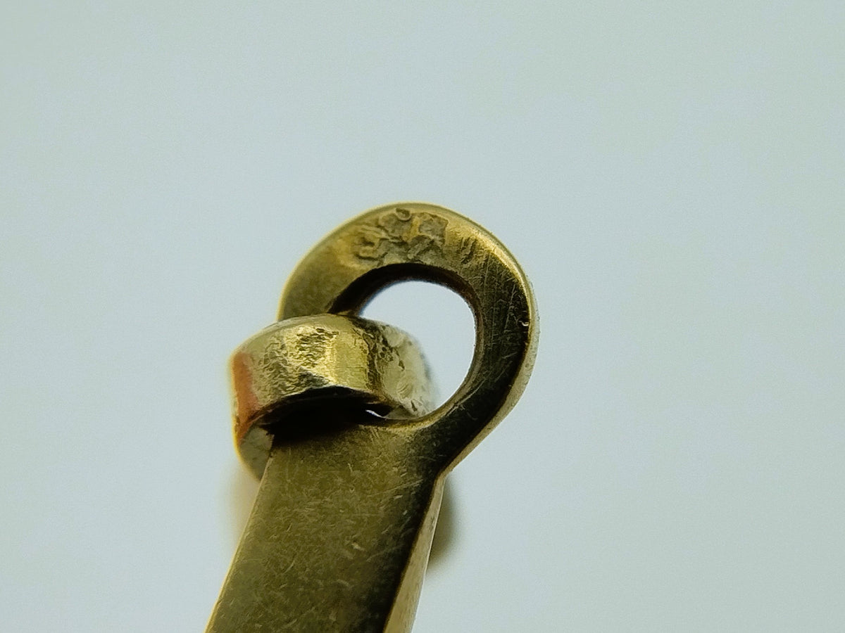 Close-up van gouden ophanglus met ronde ring en ingehaakte bevestiging