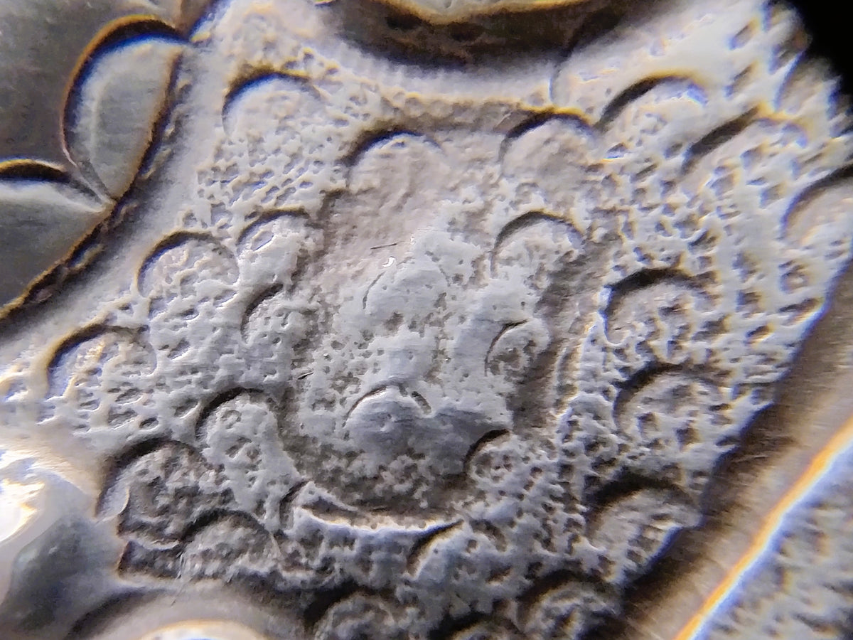 Zilveren brandewijnkom met gegraveerd ornament en randen met reliëf