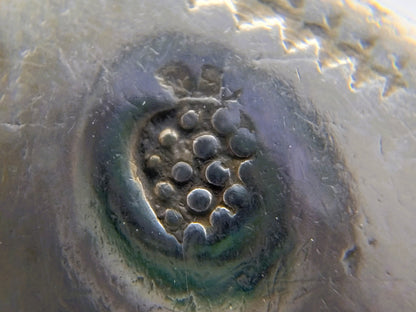 Zilveren lepel, detail van een ingeslagen druiventroskeurmerk